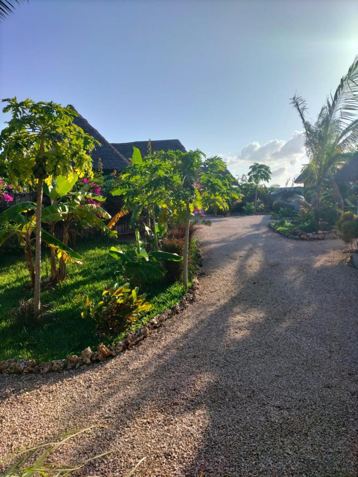 Kendwa Carletto Style Bed & Breakfast Exterior foto