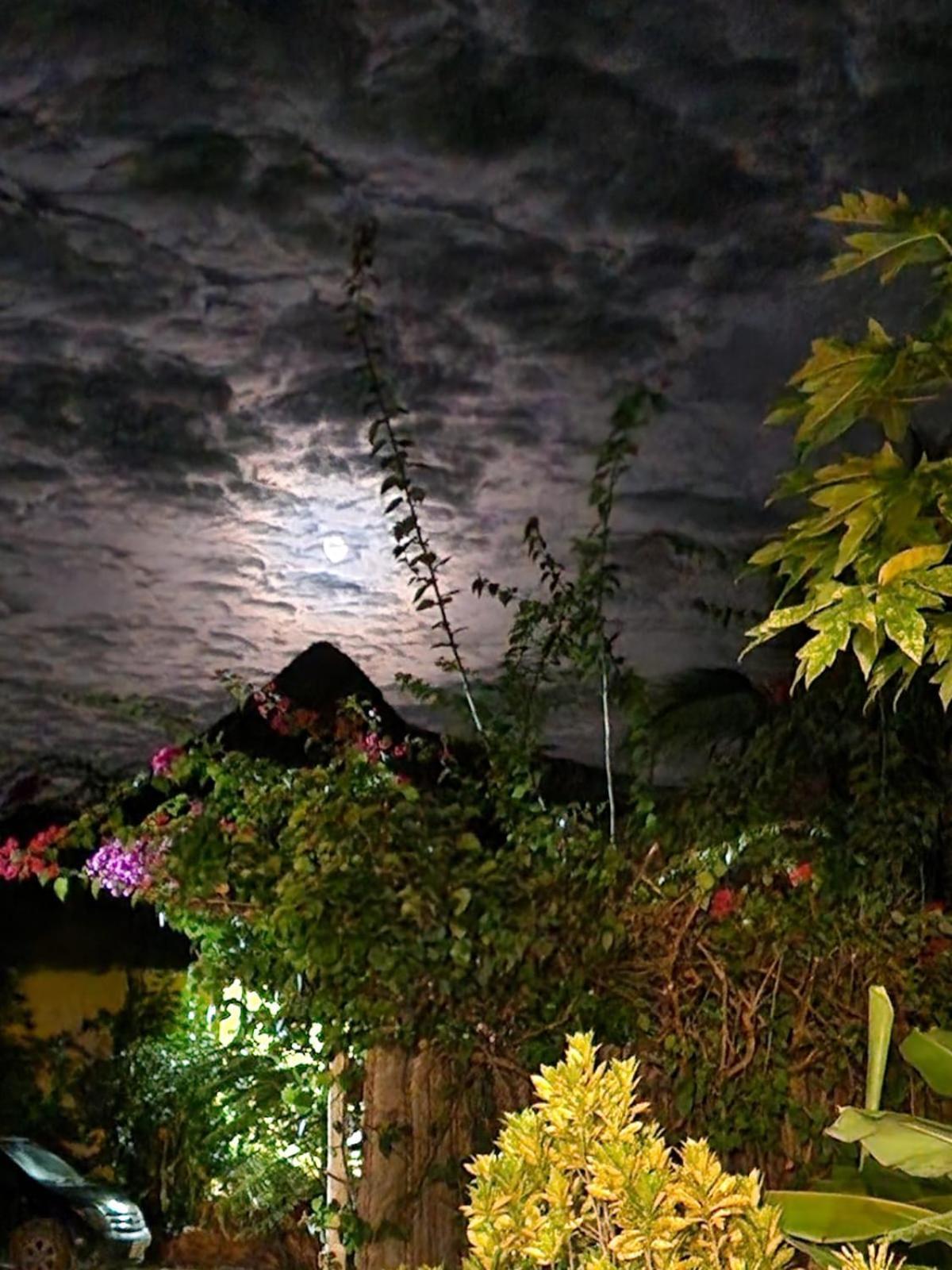 Kendwa Carletto Style Bed & Breakfast Exterior foto