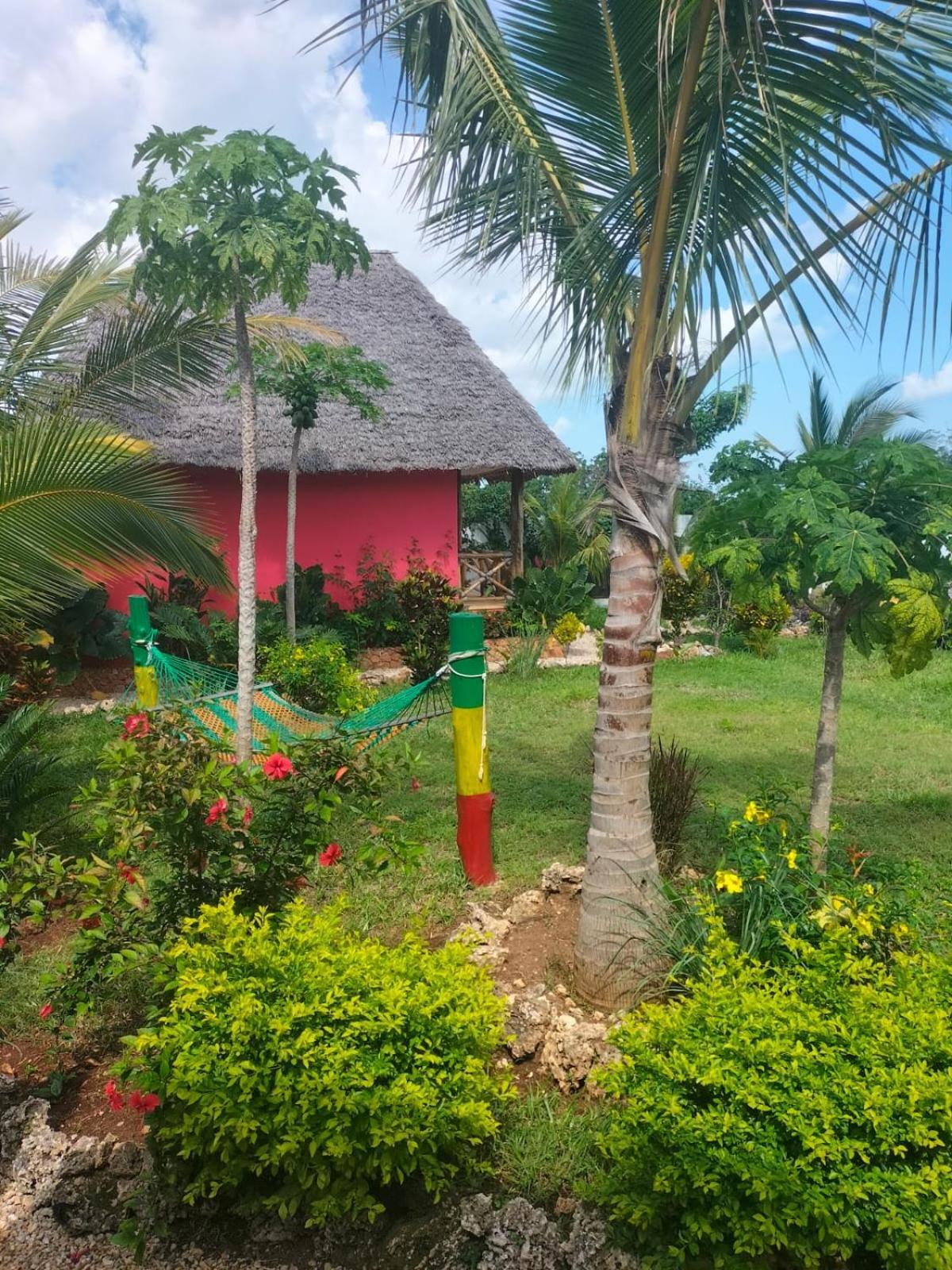 Kendwa Carletto Style Bed & Breakfast Exterior foto