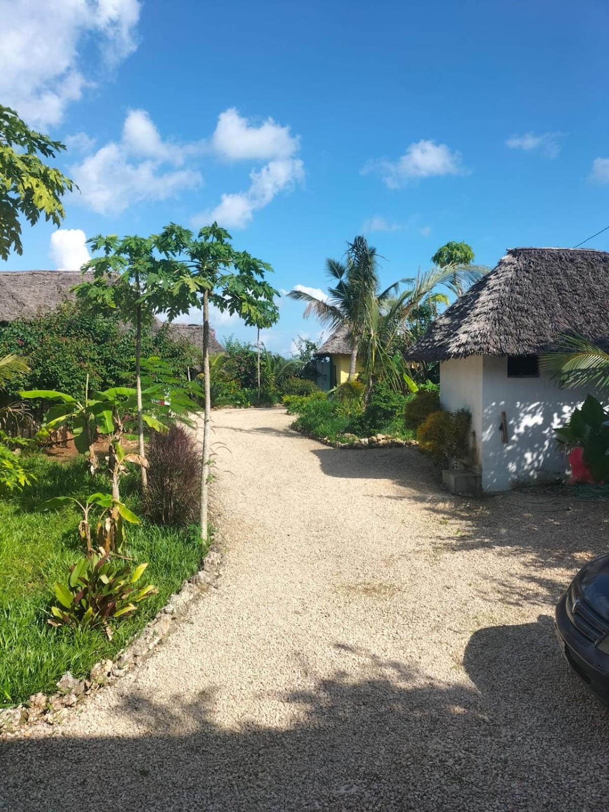 Kendwa Carletto Style Bed & Breakfast Exterior foto
