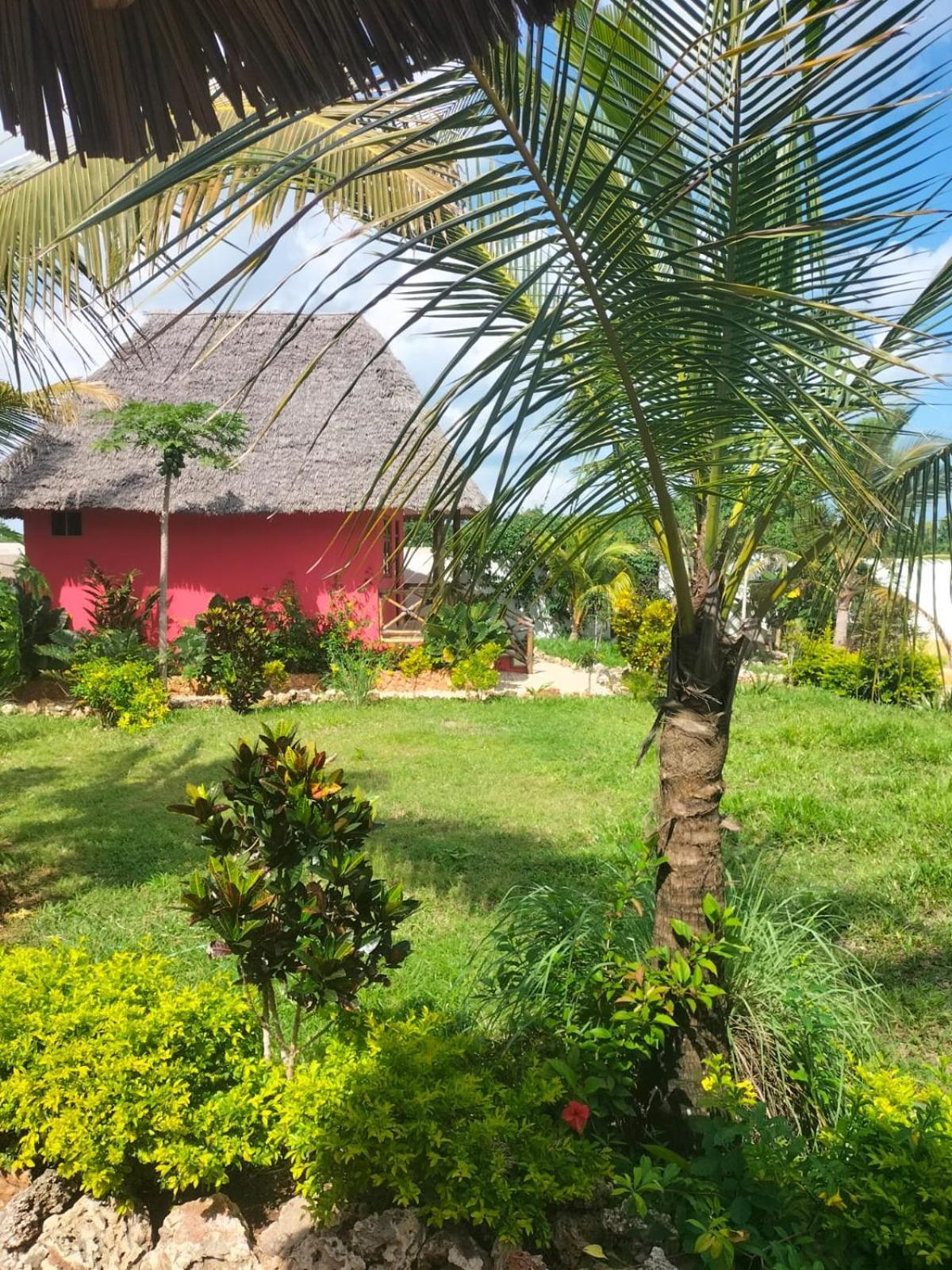 Kendwa Carletto Style Bed & Breakfast Exterior foto