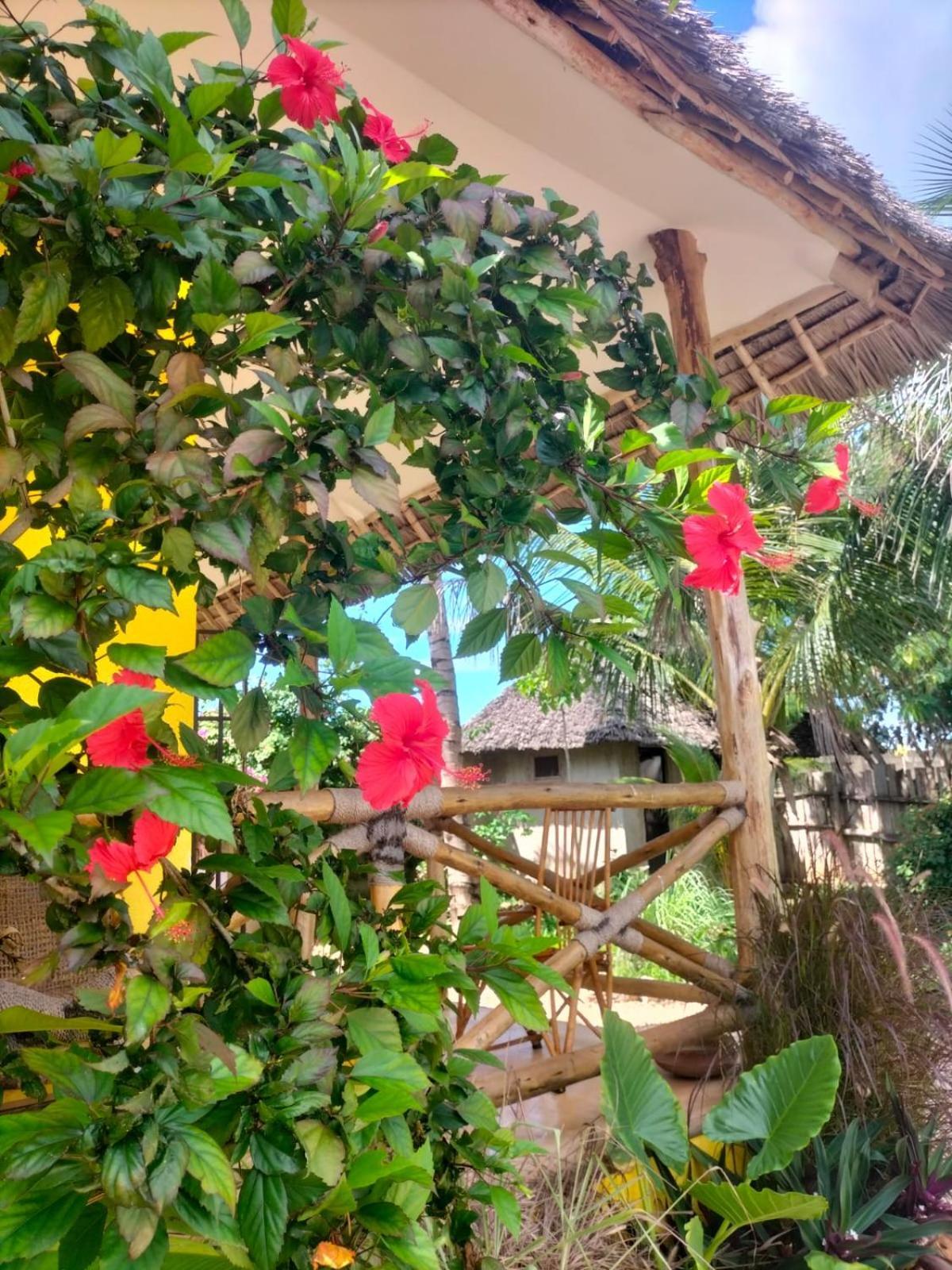 Kendwa Carletto Style Bed & Breakfast Exterior foto